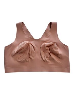 Evelyn & Bobbie The Defy Bra Size 3XL